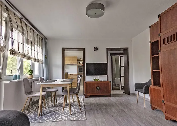 Apartament Dwupokojowy Poznań- Blisko Centrum